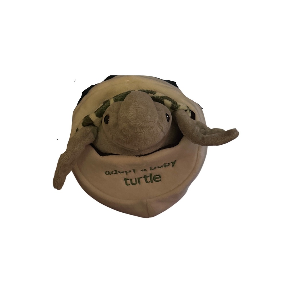 Adopt a Baby Turtle Plush with Egg Shell Soft Toy Green Cream Sea Turtle